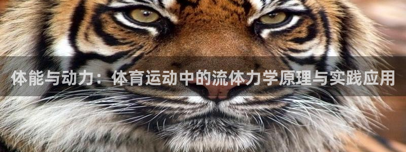 球皇看球APP：体能与动力：体育运动中的流体力学原理与实践应用