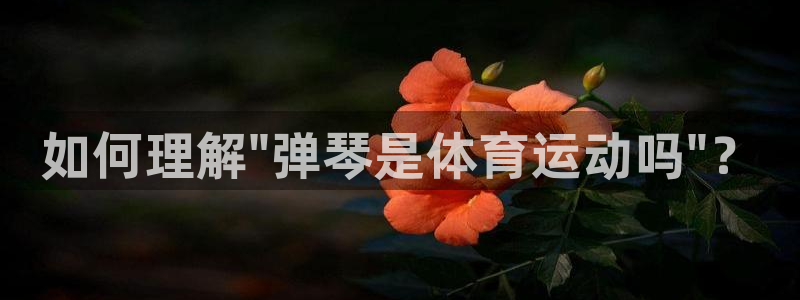 9球皇后潘晓婷：如何理解\