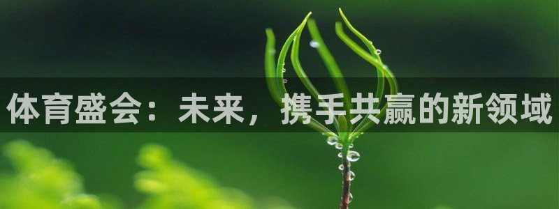 球皇：体育盛会：未来，携手共赢的新领域