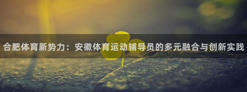球皇直播体育：合肥体育新势力：安徽体育运动辅导员的多元融合与创新实践