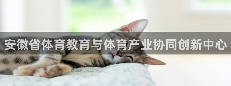 球皇杜：安徽省体育教育与体育产业协同创新中心
