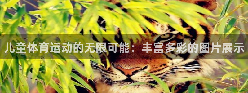 球皇看球最新版：儿童体育运动的无限可能：丰富多彩的图片展示